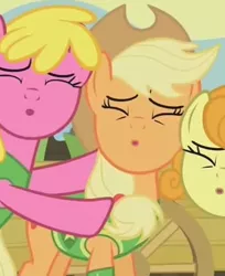 Size: 341x418 | Tagged: safe, derpibooru import, screencap, applejack, carrot top, cherry berry, golden harvest, earth pony, pony, winter wrap up, :o, applejack's hat, bipedal, cart, cowboy hat, cropped, eyes closed, female, group hug, hat, hug, image, mare, o, o mouth, open mouth, plant team, png, singing, solo, solo focus, trio, trio female, winter wrap up song, winter wrap up vest