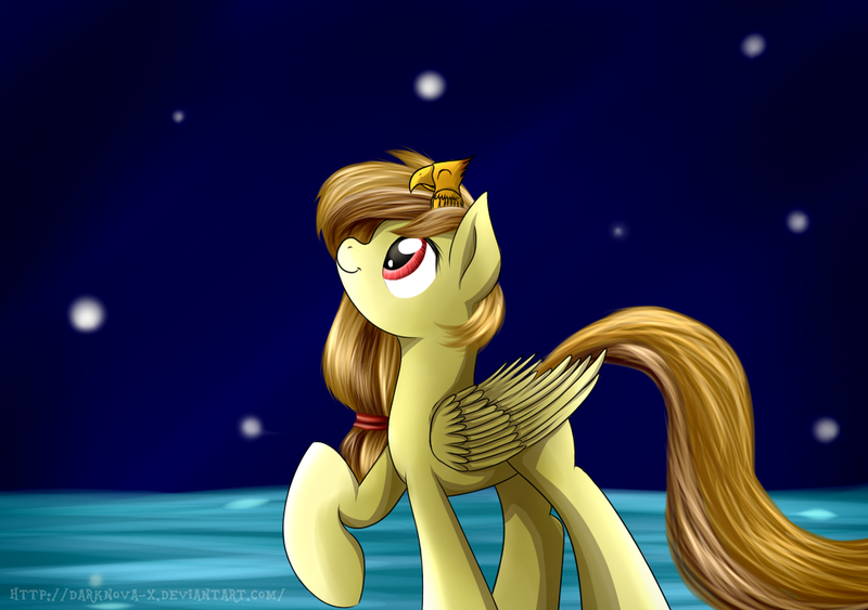 Size: 1024x720 | Tagged: safe, artist:mercurycraft7, derpibooru import, oc, oc:alice, bird, pegasus, pony, baby phoenix, eyes closed, female, folded wings, image, long tail, looking up, mare, night, night sky, pegasus oc, png, sky, solo, stars, wings