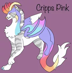 Size: 1280x1295 | Tagged: safe, artist:silver-ops, derpibooru import, oc, oc:cripps pink, unofficial characters only, draconequus, hybrid, draconequus oc, image, interspecies offspring, jpeg, magical gay spawn, male, offspring, parent:big macintosh, parent:discord, parents:discomac, purple background, simple background, solo