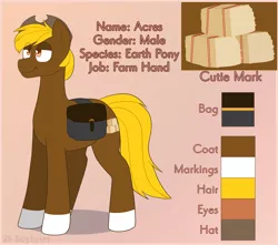 Size: 2447x2161 | Tagged: safe, artist:2k.bugbytes, ponybooru import, oc, oc:acres, unofficial characters only, earth pony, pony, bag, blonde, blonde mane, blonde tail, brown coat, coat markings, commission, cowboy hat, hat, image, male, png, reference sheet, saddle bag, simple background, smiling, socks (coat marking), solo, stallion, text