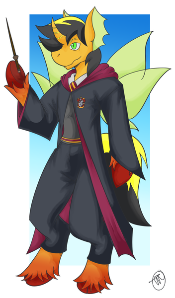 Size: 1156x1971 | Tagged: safe, derpibooru import, changeling, harry potter, image, lightning sunrise, male, my little pony, png, teppo24