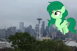 Size: 2048x1364 | Tagged: safe, artist:sirmlp1, derpibooru import, wallflower blush, ponified, pony, cloud, cloudy, female, giant pony, giantess, highrise ponies, image, irl, macro, photo, png, ponies in real life, seattle, washington