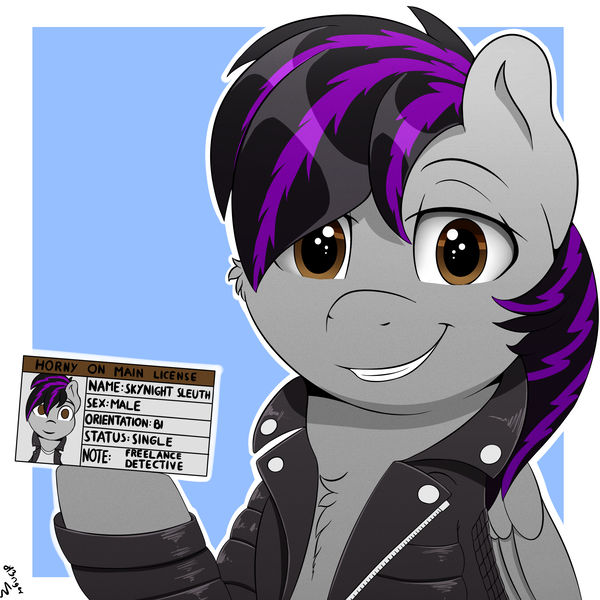 Size: 2000x2000 | Tagged: safe, artist:h3nger, derpibooru import, oc, oc:skynight sleuth, unofficial characters only, pegasus, pony, cheek fluff, chest fluff, clothes, folded wings, grin, high res, hoof hold, image, jacket, leather jacket, lidded eyes, looking at you, male, png, signature, smiling, smiling at you, solo, wings