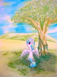 Size: 1920x2560 | Tagged: safe, artist:stardust0130, derpibooru import, cotton cloudy, pegasus, pony, female, filly, image, png, solo, spread wings, wings