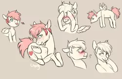 Size: 1000x650 | Tagged: safe, artist:lavvythejackalope, derpibooru import, oc, oc:alex, unofficial characters only, pegasus, pony, :p, blushing, brown background, embarrassed, eyes closed, flying, image, lying down, male, pegasus oc, png, prone, simple background, sketch, smiling, stallion, tongue out, wings
