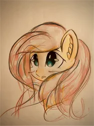 Size: 3024x4032 | Tagged: safe, artist:stardust0130, derpibooru import, fluttershy, pegasus, pony, female, image, jpeg, mare, solo