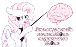 Size: 1280x791 | Tagged: safe, artist:petruse4ka, derpibooru import, oc, unofficial characters only, pegasus, pony, brain, cyrillic, eyelashes, female, image, jpeg, mare, necktie, organs, pegasus oc, pointing, russian, simple background, solo, talking, unamused, vulgar, white background, wings