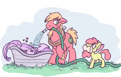 Size: 782x499 | Tagged: safe, artist:purple-blep, derpibooru import, apple bloom, big macintosh, oc, oc:scylla, dragon, earth pony, pony, female, filly, grass, hose, image, male, png, sponge, stallion, water