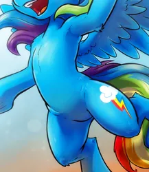 Size: 514x592 | Tagged: safe, artist:kp-shadowsquirrel, derpibooru import, edit, rainbow dash, pegasus, pony, armpits, belly, chest fluff, cropped, featureless crotch, image, open mouth, pictures of bellies, png, solo