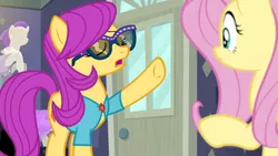 Size: 1920x1080 | Tagged: safe, derpibooru import, screencap, fluttershy, pursey pink, pony, fake it 'til you make it, season 8, spoiler:s08, duo, image, png, sunglasses