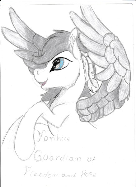 Size: 1275x1752 | Tagged: safe, artist:silbernepegasus, derpibooru import, oc, pegasus, image, jpeg, northice, solo