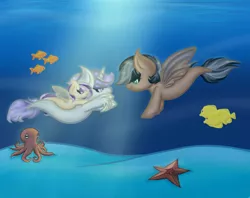 Size: 1568x1240 | Tagged: safe, artist:kate1522, derpibooru import, oc, unofficial characters only, fish, octopus, pegasus, pony, seapony (g4), starfish, unicorn, contest entry, crepuscular rays, dorsal fin, fin wings, fish tail, flowing tail, horn, image, ocean, png, seaponified, species swap, sunlight, swimming, tail, underwater, water, wings