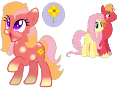 Size: 3232x2336 | Tagged: safe, artist:princessamara123, artist:xbubble-bases, derpibooru import, big macintosh, fluttershy, oc, oc:lily, earth pony, pegasus, pony, base used, coat markings, cutie mark, female, flower, fluttermac, gradient hooves, happy, image, looking up, male, mare, offspring, open mouth, parent:big macintosh, parent:fluttershy, parents:fluttermac, png, raised hoof, shipping, simple background, smiling, straight, transparent background, two toned mane, violet eyes