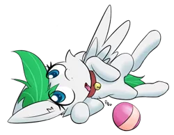 Size: 2048x1590 | Tagged: safe, artist:ponballoon, derpibooru import, oc, oc:zephyr, unofficial characters only, pegasus, pony, fanfic:zephyr, ball, behaving like a dog, bell, bell collar, collar, female, image, lying down, mare, pet play, png, pony pet, solo