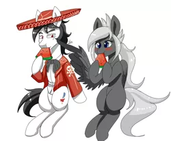 Size: 1700x1400 | Tagged: safe, artist:zachc, derpibooru import, oc, unofficial characters only, earth pony, pegasus, pony, clothes, eating, female, food, image, male, mare, png, sombrero, stallion, watermelon, wing hands, wings