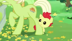 Size: 1280x720 | Tagged: safe, derpibooru import, screencap, bright mac, granny smith, earth pony, pony, season 7, the perfect pear, baby, baby pony, brightabetes, colt, cute, female, image, male, mare, :o, offscreen character, open mouth, png