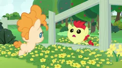 Size: 1280x720 | Tagged: safe, derpibooru import, screencap, bright mac, pear butter, earth pony, pony, season 7, the perfect pear, baby, baby pony, brightabetes, colt, cute, female, fence, filly, flower, image, male, open mouth, pearabetes, png