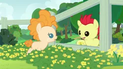 Size: 1280x720 | Tagged: safe, derpibooru import, screencap, bright mac, pear butter, earth pony, pony, season 7, the perfect pear, baby, baby pony, brightabetes, colt, cute, female, fence, filly, flower, image, male, open mouth, pearabetes, png, smiling