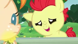 Size: 1280x720 | Tagged: safe, derpibooru import, screencap, bright mac, pear butter, earth pony, pony, season 7, the perfect pear, baby, baby pony, brightabetes, colt, cute, female, fence, filly, flower, image, male, open mouth, png, smiling