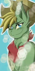 Size: 1024x2048 | Tagged: safe, artist:silvanadraws, derpibooru import, pony, bandana, birthday gift, blue eyes, commission, cowboy hat, freckles, green pony, grin, hat, image, jpeg, male, male pony, smiling, smirk