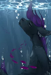 Size: 1280x1862 | Tagged: semi-grimdark, artist:ink-hoki, derpibooru import, oc, unofficial characters only, fish, pony, asphyxiation, bubble, crepuscular rays, drowning, eyes closed, flowing mane, image, jpeg, ocean, purple mane, solo, sunlight, underwater, water