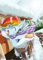 Size: 1024x1449 | Tagged: safe, artist:neoshrek, derpibooru import, rainbow dash, pegasus, image, jpeg, snow, solo