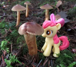 Size: 1280x1123 | Tagged: safe, artist:travelling-my-little-pony, derpibooru import, apple bloom, pony, female, filly, fungus, image, irl, jpeg, mushroom, photo, solo, toy