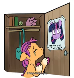 Size: 2975x3117 | Tagged: safe, artist:chub-wub, derpibooru import, sunny starscout, twilight sparkle, earth pony, pony, bag, ball, closet, crying, dexter's laboratory, fake wings, g5, image, izzy's tennis ball, jpeg, meme, poster, tennis ball