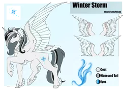 Size: 4961x3508 | Tagged: safe, artist:oneiria-fylakas, derpibooru import, oc, oc:winter storm, alicorn, pony, female, image, mare, png, reference sheet, solo