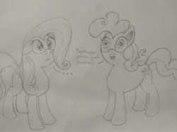 Size: 3573x2661 | Tagged: safe, artist:pony-thunder, derpibooru import, fluttershy, pinkie pie, pony, atg 2021, image, implied drug use, implied tree hugger, jpeg, monochrome, newbie artist training grounds, solo, traditional art