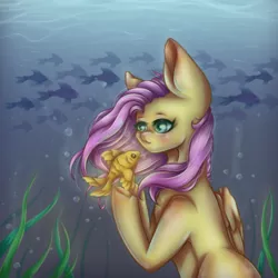 Size: 500x500 | Tagged: safe, artist:gbsal777, artist:saltyvity, derpibooru import, fluttershy, fish, pegasus, pony, blushing, bubble, crepuscular rays, eyelashes, female, flowing mane, folded wings, glow, green eyes, image, looking at each other, ocean, pink mane, png, seaweed, solo, sunlight, swimming, underwater, water, wings