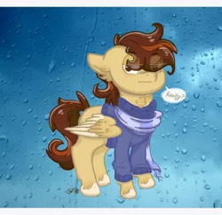 Size: 866x840 | Tagged: safe, artist:gravityfox10, derpibooru import, oc, unofficial characters only, pegasus, pony, clothes, hair over eyes, image, jpeg, pegasus oc, rain, scarf, talking, talking to viewer, two toned wings, unshorn fetlocks, wings