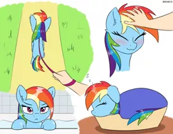 Size: 1900x1473 | Tagged: safe, artist:irisarco, derpibooru import, rainbow dash, human, pegasus, pony, :3, :<, basket, bathroom, bathtub, blanket, blushing, cropped, cutie mark, day, desk, dialogue, dock, ear fluff, eyes closed, female, floppy ears, frown, grass, head pat, human on pony petting, image, indoors, leash, lidded eyes, looking at you, lying down, offscreen character, onomatopoeia, outdoors, pat, path, petting, png, pony pet, pov, sleeping, smiling, sound effects, tail, unamused, walking, water, watermark, wet, wings, zzz