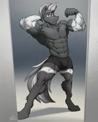 Size: 1951x2435 | Tagged: suggestive, artist:ponyanony, derpibooru import, oc, unofficial characters only, anthro, hybrid, pony, unguligrade anthro, wolf, wolf pony, abs, armpits, biceps, black underwear, bodybuilder, clothes, deltoids, flexing, gray background, high res, image, jpeg, male, mirror, muscles, muscular male, nudity, partial nudity, pecs, simple background, solo, solo male, stallion, topless, underwear