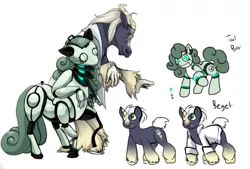 Size: 782x528 | Tagged: safe, artist:scittykitty, derpibooru import, oc, unofficial characters only, anthro, pony, robot, robot pony, unguligrade anthro, unicorn, anthro with ponies, clothes, horn, image, lab coat, png, redesign, reference sheet, smiling, unicorn oc, unshorn fetlocks
