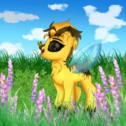 Size: 2000x2000 | Tagged: safe, artist:splashofsweet, derpibooru import, oc, unofficial characters only, bee, bee pony, insect, original species, pony, female, field, flower, image, meadow, png, scenery, solo