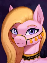 Size: 1500x2003 | Tagged: safe, artist:mrscroup, derpibooru import, oc, unofficial characters only, earth pony, pony, saddle arabian, equestria at war mod, collar, ear fluff, female, image, jpeg, mare, saddle arabian outfit, smiling