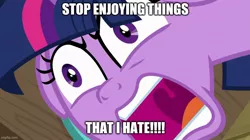 Size: 888x499 | Tagged: safe, derpibooru import, edit, edited screencap, screencap, twilight sparkle, a trivial pursuit, angry, brony stereotype, caption, image, image macro, jpeg, meme, text, this is trivia trot, yelling