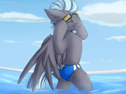 Size: 2000x1500 | Tagged: suggestive, artist:snowstormbat, derpibooru import, thunderlane, pegasus, pony, clothes, cloud, goggles, image, male, my little pony, png, smiling, solo, solo male, speedo, stallion, swimming pool, swimsuit