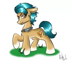 Size: 3671x3157 | Tagged: safe, artist:knicky-knack, derpibooru import, hitch trailblazer, earth pony, pony, blaze (coat marking), coat markings, facial markings, floppy ears, g5, grass, high res, image, looking at you, male, pale belly, png, sash, signature, simple background, socks (coat marking), stallion, white background