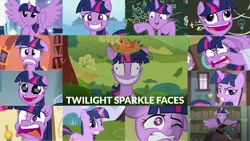 Size: 1280x720 | Tagged: safe, derpibooru import, edit, edited screencap, editor:quoterific, screencap, spike, twilight sparkle, twilight sparkle (alicorn), alicorn, bird, dragon, pony, unicorn, a trivial pursuit, best gift ever, castle mane-ia, friendship is magic, horse play, lesson zero, party pooped, rarity takes manehattan, secret of my excess, sparkle's seven, the times they are a changeling, to where and back again, what lies beneath, angry, bag, book, chalkboard, cute, derp, derp face, duo, eyes closed, faic, female, floppy ears, flying, friendship express, golden oaks library, gritted teeth, image, library, male, mare, messy mane, nest, one eye closed, open mouth, png, pudding face, saddle bag, smiling, smug, smuglight sparkle, solo, spread wings, sugarcube corner, teeth, that pony sure does love books, this is trivia trot, train station, twiabetes, twilight's castle, twilight snapple, unicorn twilight, winged spike, wings