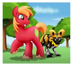 Size: 800x718 | Tagged: safe, artist:jhayarr23, derpibooru import, big macintosh, pony, african wild dog, image, jpeg, missing accessory