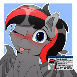 Size: 2000x2000 | Tagged: safe, artist:h3nger, derpibooru import, oc, oc:shadie, unofficial characters only, bat pony, pony, bat pony oc, bat wings, blushing, image, png, solo, wings