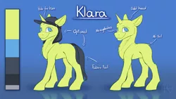 Size: 4000x2250 | Tagged: safe, artist:klarapl, derpibooru import, oc, oc:klara, unofficial characters only, earth pony, pony, chest fluff, dock, female, hat, image, looking at you, no eyelashes, no mane, no pupils, no tail, png, reference sheet, smiling, smiling at you