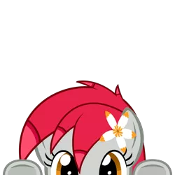 Size: 2000x2000 | Tagged: safe, artist:mrkat7214, derpibooru import, part of a set, oc, oc:tiny jasmini, unofficial characters only, pegasus, pony, commission, cute, female, flower, flower in hair, high res, image, looking at you, lurking, ocbetes, peeking, png, simple background, solo, soon, tinyjabetes, transparent background, underhoof, vector, ych result