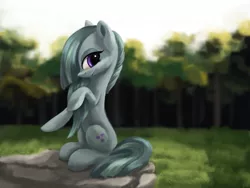 Size: 3000x2250 | Tagged: safe, artist:flusanix, derpibooru import, marble pie, earth pony, pony, clearing, female, forest, high res, image, jpeg, lidded eyes, looking at you, mare, outdoors, profile, raised hoof, sitting, solo, stone, tree