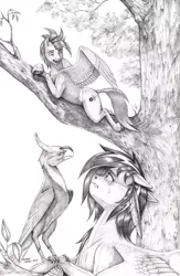 Size: 950x1461 | Tagged: safe, artist:baron engel, derpibooru import, oc, oc:iridescent, oc:sky shatter, pegasus, phoenix, pony, crying, duo, female, image, jpeg, looking down, looking up, lying down, male, mare, monochrome, pencil drawing, stallion, traditional art, tree, wings