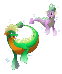 Size: 1280x1539 | Tagged: safe, artist:eternity9, derpibooru import, spike, oc, dragon, sea dragon, bubble, image, looking at each other, male, open mouth, png, simple background, species swap, spike the seadragon, swimming, transparent background