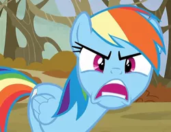 Size: 814x630 | Tagged: safe, derpibooru import, edit, edited screencap, screencap, rainbow dash, pegasus, pony, season 5, tanks for the memories, angry, cropped, female, image, jpeg, looking at you, mare, open mouth, rainbow dash is best facemaker, solo, teeth