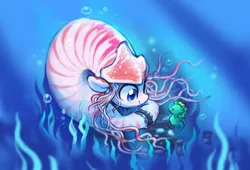 Size: 3074x2092 | Tagged: safe, artist:dawnfire, oc, oc:nautila, unofficial characters only, nautilus, nautilus pony, seahorse, air bubble, bubble, cute, female, freckles, image, jpeg, solo, underwater